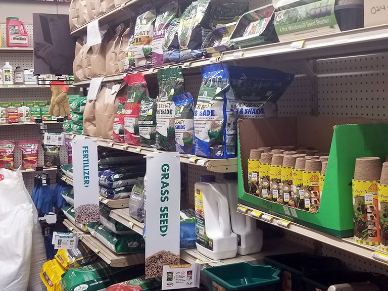 Our Store