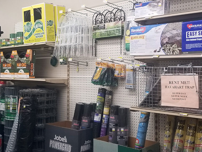 Our Store